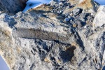 250523c_Trygghamna_42_N