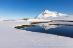 250523c_Trygghamna_73_N