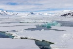 250524_Borebukta_19_N