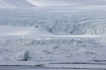250524_Borebukta_24_N