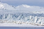 250524_Borebukta_42_N