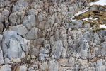 250529a_Hamiltonbukta_09_N