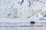250529a_Hamiltonbukta_32_N