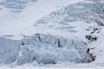 250529a_Hamiltonbukta_59_N