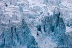 250529c_Fuglefjord_18_N