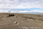 250530a_Sarstangen_62_N