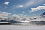 250531a_Trygghamna_66_N