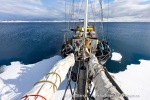 250531c_Ymerbukta_31_N
