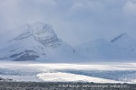 250531d_Nansenbreen_04_N