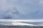 250531d_Nansenbreen_04_N
