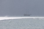 250601a_Borebukta_45_N