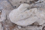 250601b_Bohemanneset_07_N