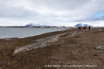 250601b_Bohemanneset_20_N
