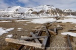 250602a_Skansbukta_02_N