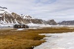 250602a_Skansbukta_06_N