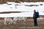 250602c_Gipshuksletta_19_N