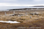 250602c_Gipshuksletta_27_N
