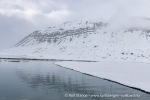 250601a_Borebukta_38_N