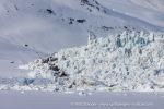 250601a_Borebukta_72_N
