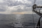 250604b_Isfjord_04_N