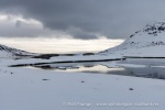 250605a_Trygghamna_91_N