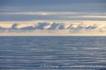 250606c_Kapp-Mitra_04_N
