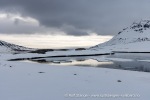 250605a_Trygghamna_91_N