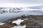 250607a_Bjornhamna_52_N