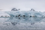 250607b_Smeerenburgbreen_20_N