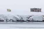 250608a_Alicehamna_014_N