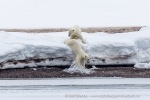 250608a_Alicehamna_070_N