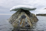 250608b_Hamiltonbukta_013_N