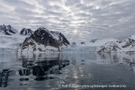 250608b_Hamiltonbukta_030_N