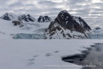 250608b_Hamiltonbukta_066_N