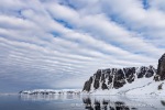 250608b_Hamiltonbukta_090_N