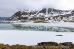 250610a_Signehamna_17_N
