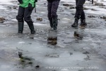 250610a_Signehamna_31_N