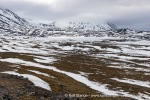 250610a_Signehamna_40_N