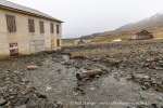 250611c_Colesbukta_04_N