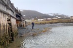 250611c_Colesbukta_08_N