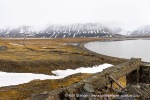 250611c_Colesbukta_18_N