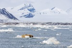 250612_Borebukta_02_N