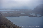 220905a_Bruceneset_099_N