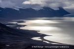 220905a_Bruceneset_119_N