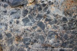 220905a_Bruceneset_127_N