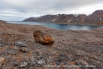 f3_Solanderfjellet_21Aug11_51_N