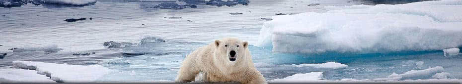 spitzbergen-3